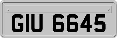GIU6645