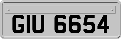 GIU6654