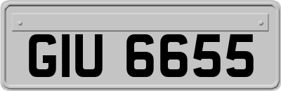 GIU6655