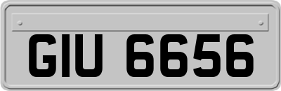 GIU6656