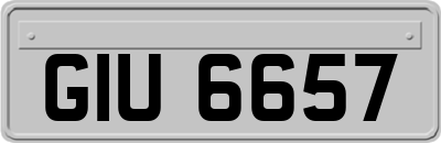 GIU6657