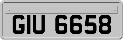 GIU6658