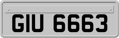 GIU6663