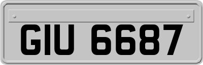 GIU6687