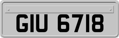 GIU6718