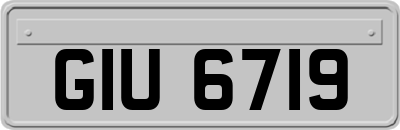 GIU6719