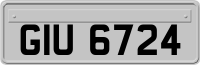 GIU6724
