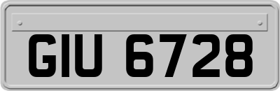 GIU6728