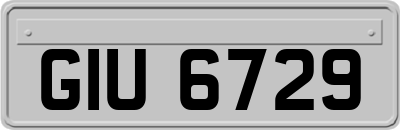 GIU6729
