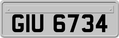GIU6734