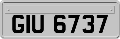 GIU6737