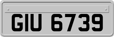 GIU6739