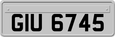 GIU6745