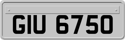 GIU6750
