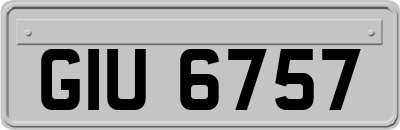 GIU6757