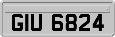 GIU6824