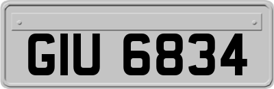 GIU6834