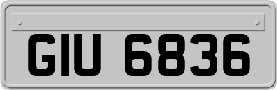 GIU6836