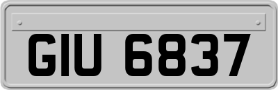 GIU6837