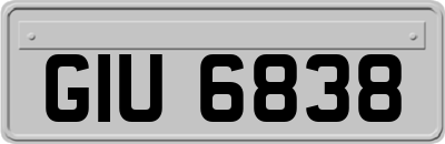 GIU6838