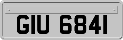 GIU6841