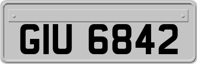 GIU6842