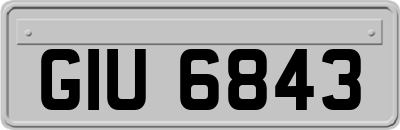 GIU6843