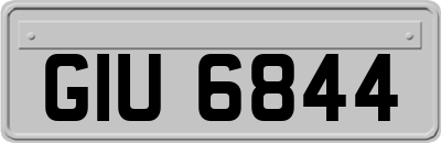 GIU6844
