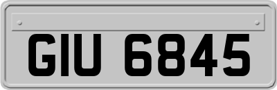 GIU6845