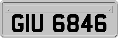 GIU6846