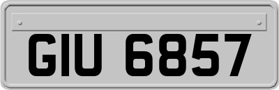 GIU6857