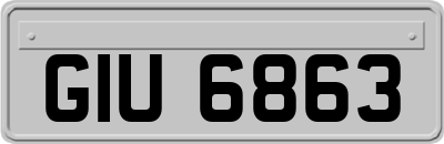 GIU6863