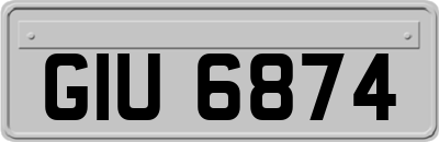 GIU6874
