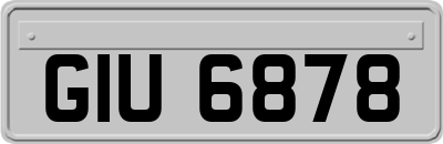 GIU6878