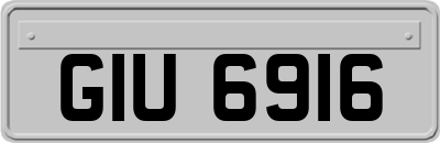 GIU6916