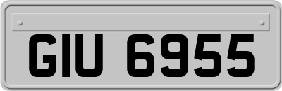 GIU6955