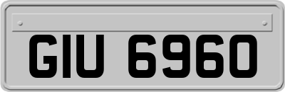 GIU6960