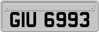 GIU6993
