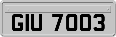 GIU7003