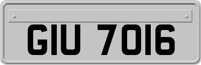 GIU7016
