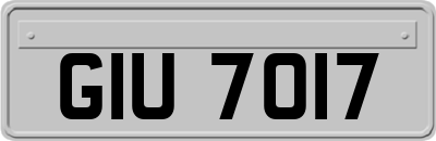 GIU7017