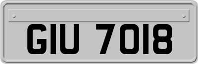 GIU7018
