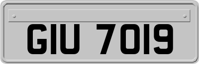 GIU7019