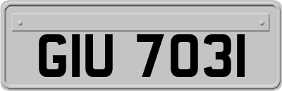 GIU7031