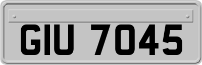 GIU7045