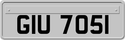 GIU7051