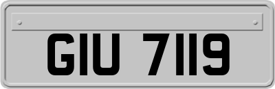 GIU7119