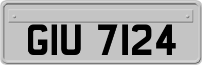GIU7124