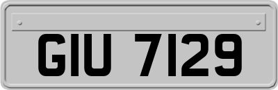 GIU7129