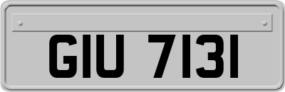 GIU7131